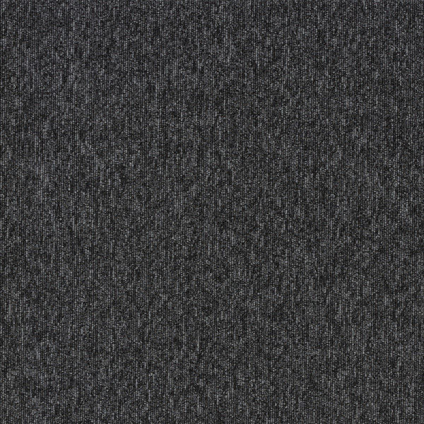 スミノエ ECOS タイルカーペット LP2049N 13248766 500×500ｍｍ ブラック 1セット(20枚入)（直送品）