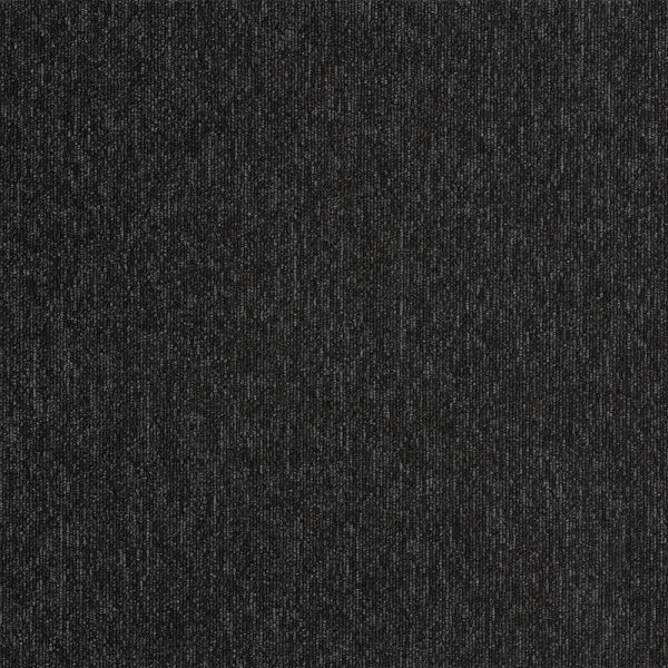 スミノエ ECOS タイルカーペット LP2074N 13248766 500×500ｍｍ ブラック 1セット(20枚入)（直送品）