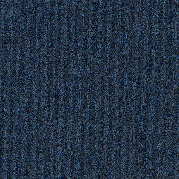 スミノエ ECOS タイルカーペット LP-3107 13248758 500×500ｍｍ ブルー 1セット(20枚入)（直送品）