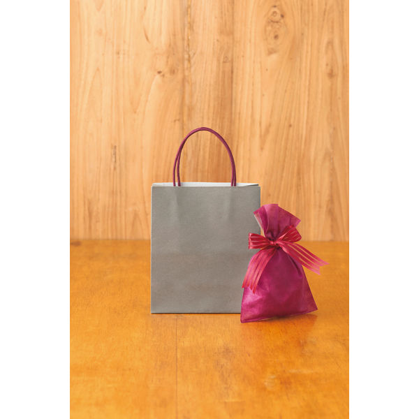 アスクルカタログ リサイクル手提げ紙袋「Come bag／カムバッグ