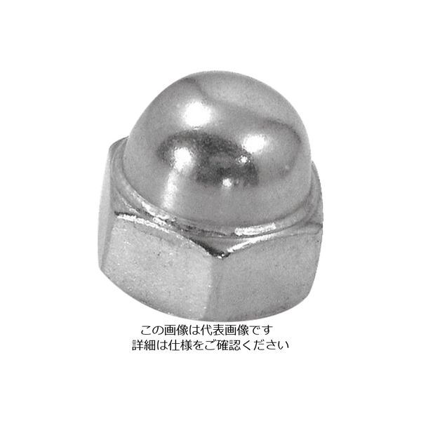 ダイドーハント HP ステンレス袋ナット W1/4 2個入 10184694 1セット(10個:2個×5袋) 858-6156（直送品）