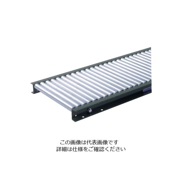 寺内製作所 TS スチールローラコンベヤφ25.4ーW100XP50X1500L LS25-100515 1台(1本) 858-1842（直送品）