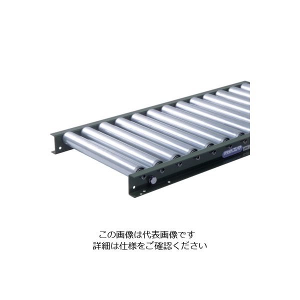 寺内製作所 TS スチールローラコンベヤφ48.6ーW300XP100X2000L S48-301020 1台(1本) 858-2061（直送品）