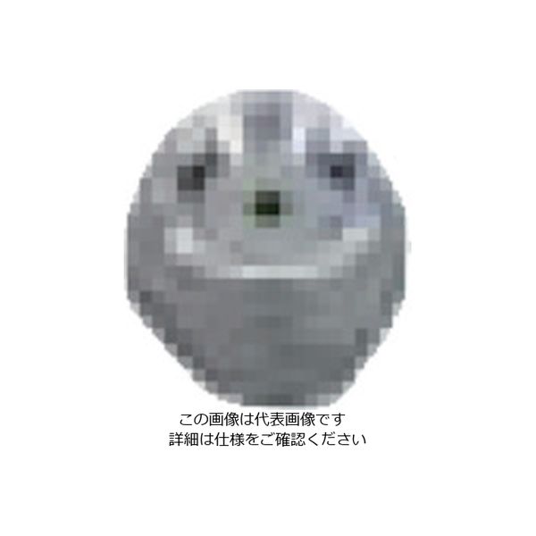 扶桑精機 扶桑 ルミナ自動スプレーガン HM-9型用部品 #1 エアキャップ 29481 1個 810-5993（直送品）