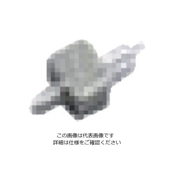 扶桑精機 扶桑 ルミナ自動スプレーガン HM-9型用部品 #2 液ノズル φ1.0 29482 1個 810-5994（直送品）