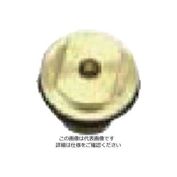 扶桑精機 扶桑 ルミナ自動スプレーガンSTー5/6型用部品 #8 ピストン(Oリング付) 29359 1個 810-5805（直送品）