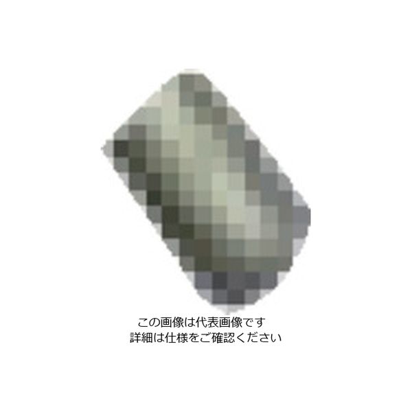 扶桑精機 扶桑 ルミナ自動スプレーガン PSー3K型用部品 #30 ピストンガイドネジ 29289 1個 810-5922（直送品）