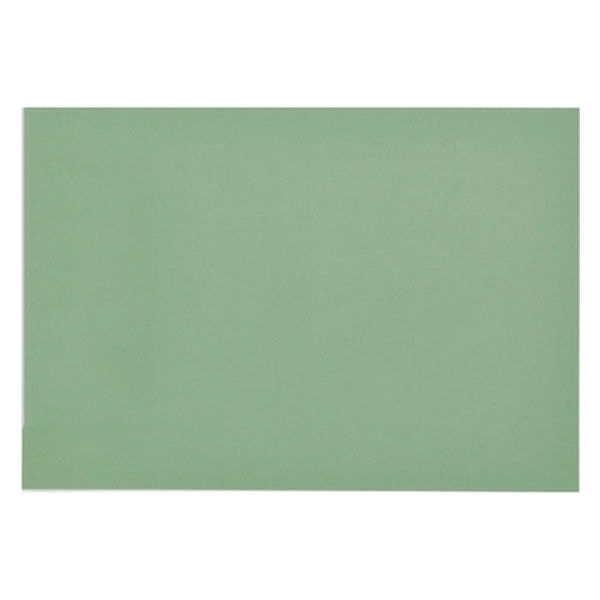 大王製紙 再生色画用紙 8ツ切 10枚 オリーブ C-48 1冊（直送品）