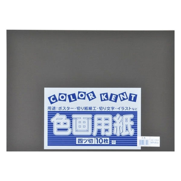 大王製紙 再生色画用紙 4ツ切 10枚 くろ C-55 1冊（直送品）