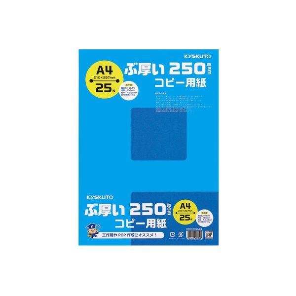 日本ノート ぶ厚いコピー用紙　PPC250A4*20冊 PPC250A4(20) 1箱（直送品）