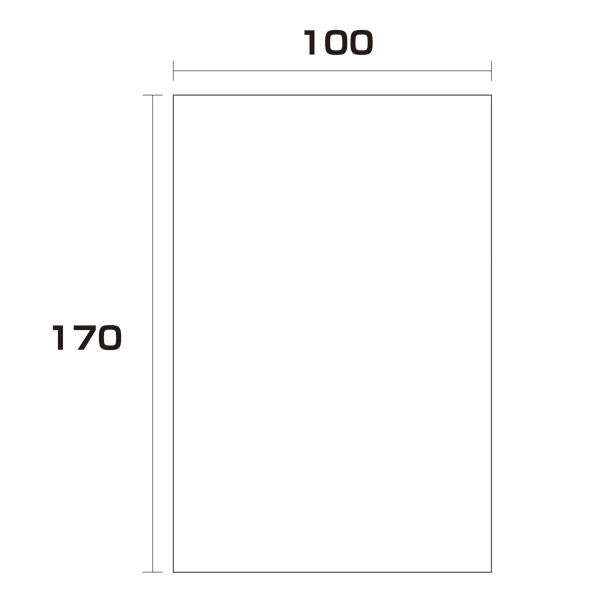 大洋社 ポリエチレン袋　厚み0.04　1000枚　100幅ｘ長さ170mm 6300004923 1セット（直送品）