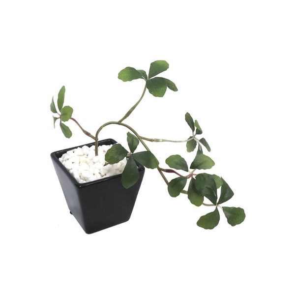 ササガワ フェイクグリーン・人工観葉植物 シュガーバイン BLK Sサイズ 32-8706 1個（直送品）