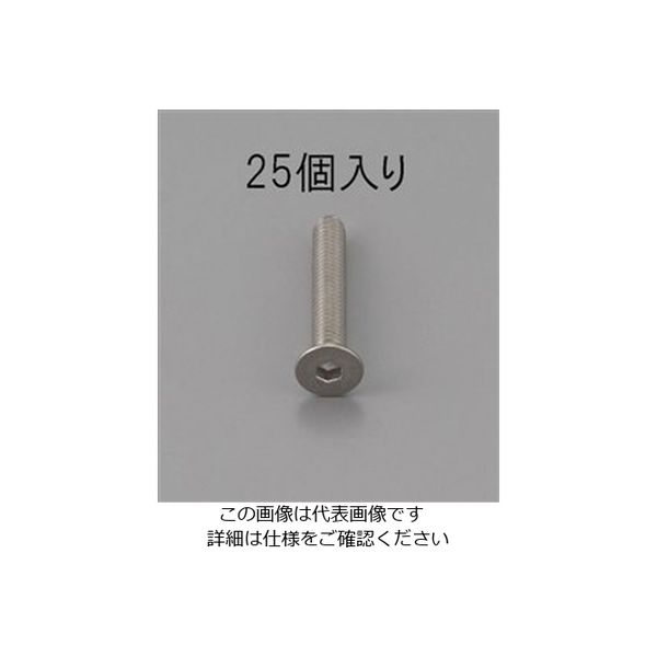 エスコ M3 x 6mm 六角穴付皿頭ボルト(ステンレス/25本) EA949MD-306 1セット(250本:25本×10パック)（直送品）