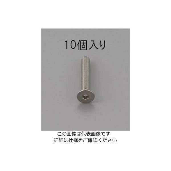 エスコ M8 x10mm 六角穴付皿頭ボルト(ステンレス/10本) EA949MD-810 1セット(100本:10本×10パック)（直送品）