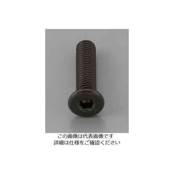 エスコ M3 x 5mm 六角穴付ボルト(超低頭/クロメート/4本) EA949MG-305A 1セット(60本:4本×15パック)（直送品）