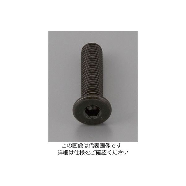 エスコ M5 x 6mm 六角穴付ボルト(超低頭/クロメート/4本) EA949MG-506A 1セット(60本:4本×15パック)（直送品）