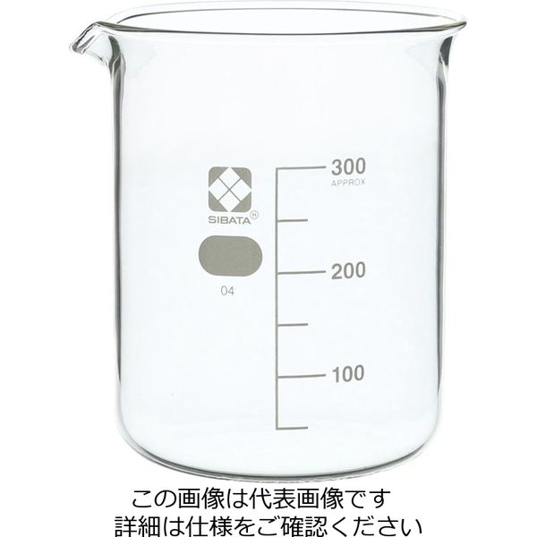 柴田科学 ビーカー 300mL 10入 010020-300A 1箱(10個)（直送品）
