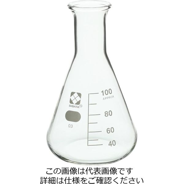 柴田科学 三角フラスコ 100mL 10入 1箱（10個） 010530-100A（直送品） アスクル