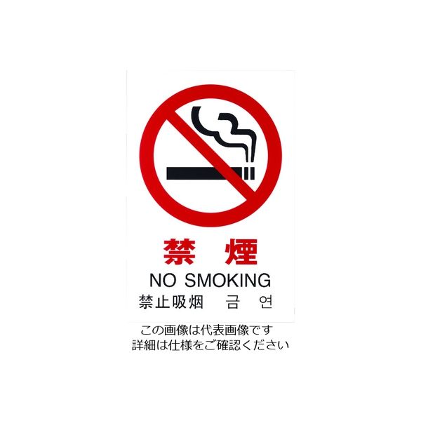 光（ヒカリ） 光 多国語ピクトサイン