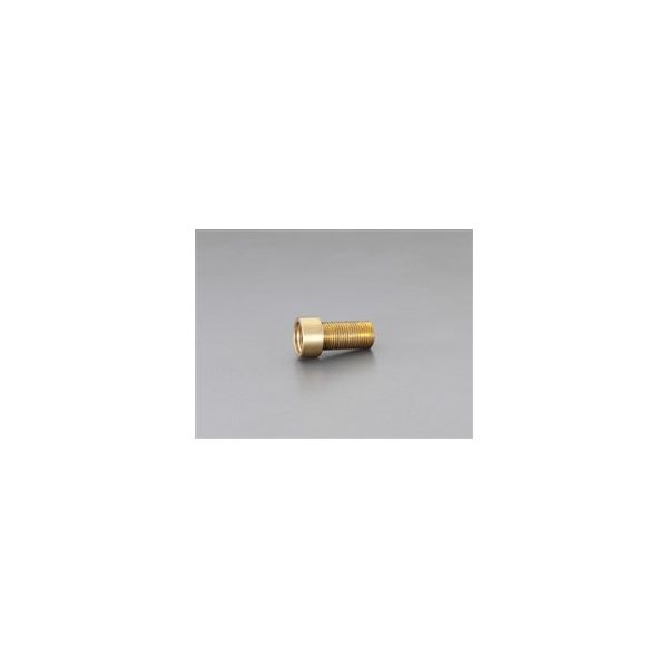 エスコ PJ1/2”x 45 mm ザルボ(長ねじ) EA432SC-45 1セット(10個)（直送品）