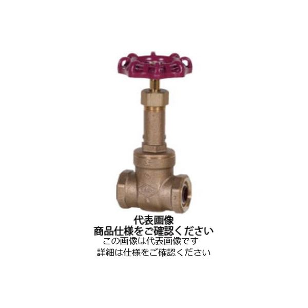 東洋バルヴ 無鉛くん青銅コアーゲート弁【給湯用】 LJ10ーBSRーHNーNー20A LJ10-BSR-HN-N-20A 1個（直送品） 5,686円
