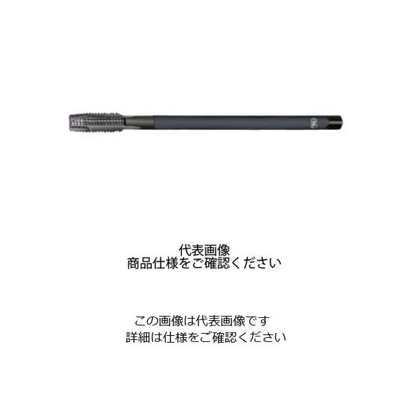 ロングホモポイントタップホモ処理 EX-LT-H-POT M16X2X200 79022（直送品）