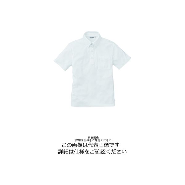 アルトコーポレーション 半袖ボタンダウンニットシャツ ホワイト SS CL-777-24-SS 1枚（直送品）