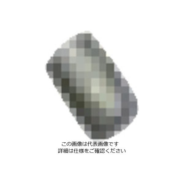 扶桑精機 扶桑 ルミナ自動スプレーガン PSー3K型用部品 #31 液量調節器ネジ 29290 1個 810-5923（直送品）