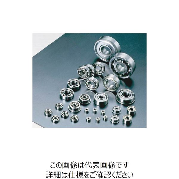 日本精工 ステンレス小径玉軸受(単列深溝玉軸受) SS602ZZ 1セット(10個)（直送品）