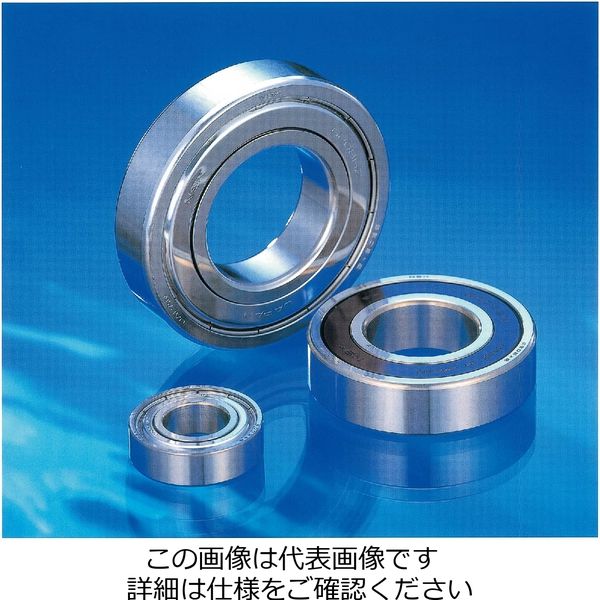 日本精工 ステンレス軸受 SS6206ZZーT 1セット(2個)（直送品