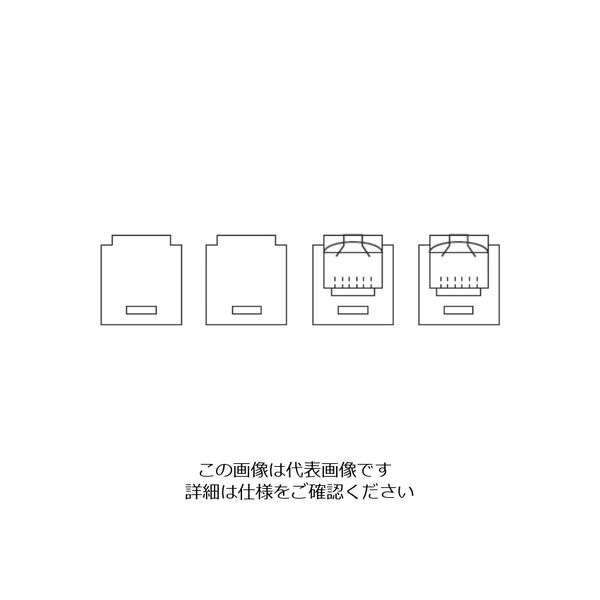TERADA 器具ブロック(CAT6モジュラジャック×2) LTF00086 1個（直送品）