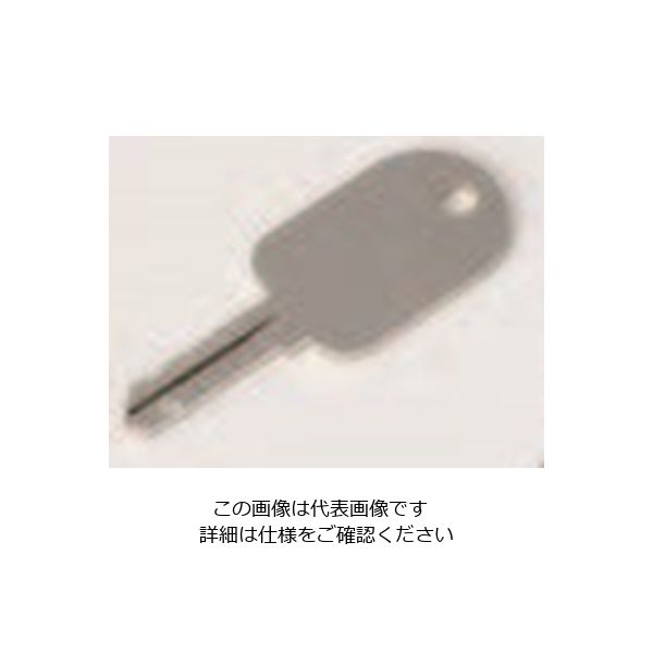 TERADA まもれーる・スリムくん用カギ×1 RDSーT200key 1セット(7個)（直送品）