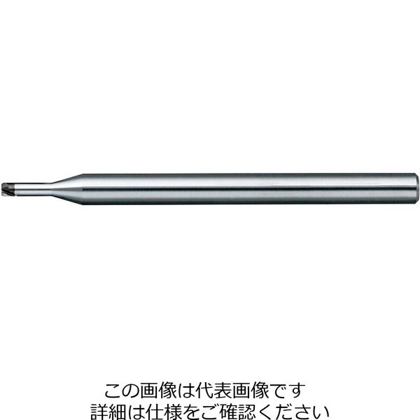 日進工具 CBNスーパースピードラジアスエンドミル SSR200φ0.15×R0.02×0.2 01-00490-01522 1本（直送品）