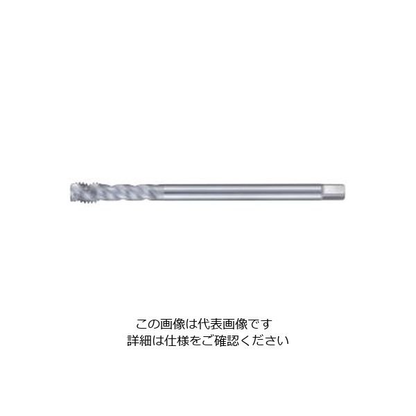 不二越（NACHI） N スパイラルタップ ロングシャンク NSPL 22M2.5RX200 NSPL22M2.5RX200 1本（直送品）