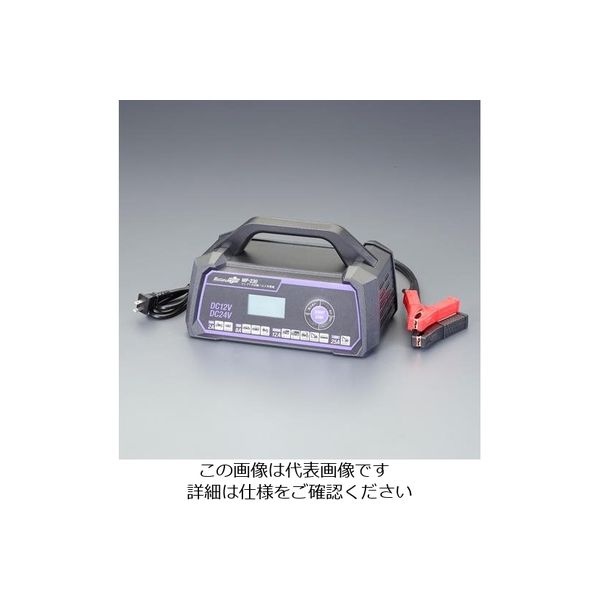 エスコ AC100V/4ー176Ah 自動パルス充電器 EA815YA-44 1台（直送品