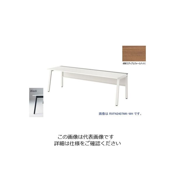 ナイキ 大型ベンチテーブル (基本型) (片面タイプ) RXFN1207K-BMW 1台 214-0855（直送品）