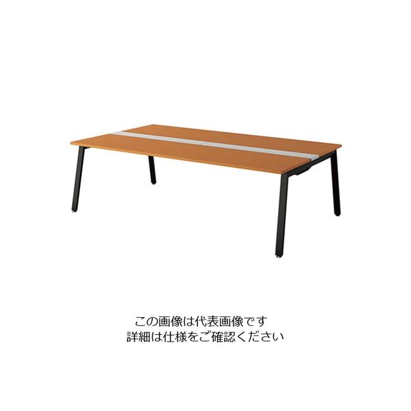 ナイキ 大型ベンチテーブル (基本型) (両面タイプ) RXFN2414K-BMW 1台 208-5285（直送品）