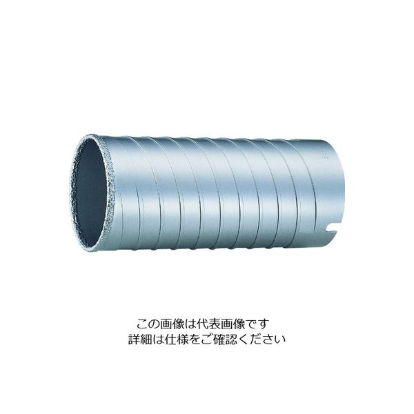 ユニカ UR21 ブレイズダイヤ65mm ボディ(替刃)のみ(URーLシャンク対応) UR21-B065B 1本 189-3857（直送品）