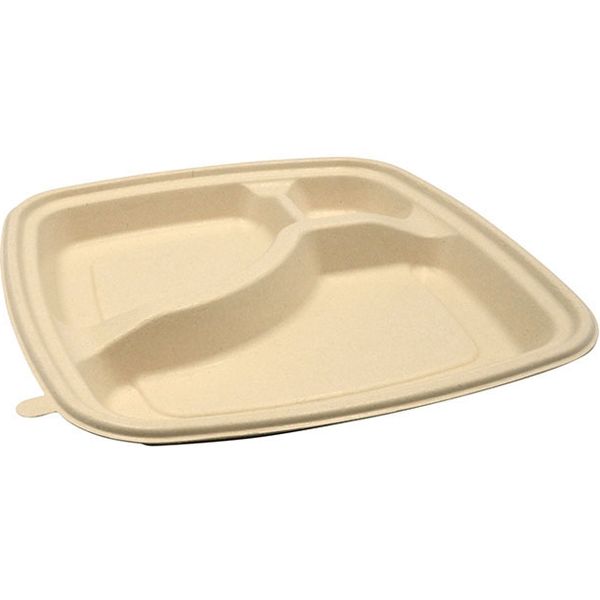 パックスタイル BB竹バガス弁当 N23ー23B ラミ 300枚(50×6) 653868 1ケース(300枚入(50枚×6袋))（直送品）
