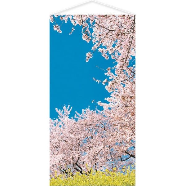 アルファ 空と桜タペストリー TC1-0051 1枚（直送品）