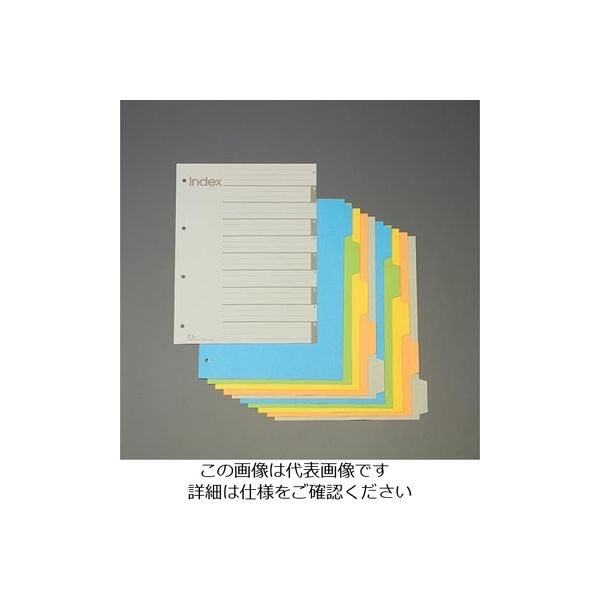 エスコ A4S型 カラーインデックス(再生紙/5色入) EA762CS-11 1セット(300枚:10枚×30冊)（直送品）