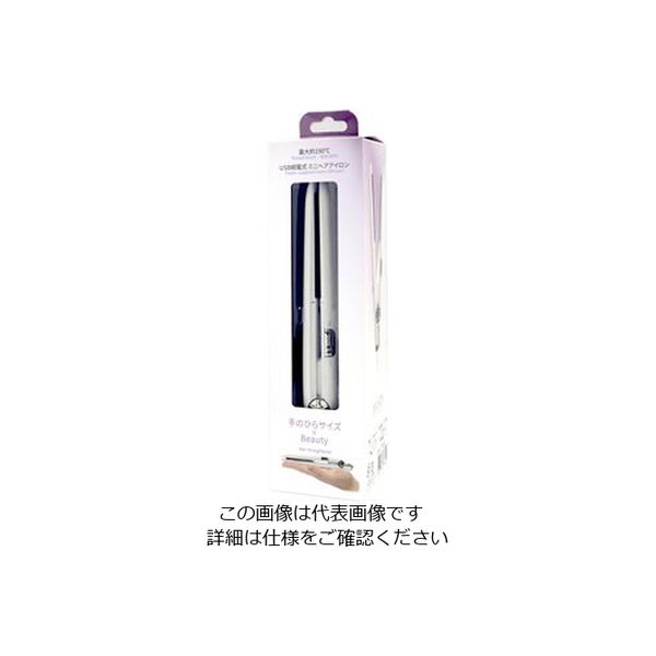 カシムラ 国内・海外使用 USB給電式 ミニヘアアイロン ストレート 耐熱ポーチ付き TD-22 1個（直送品）