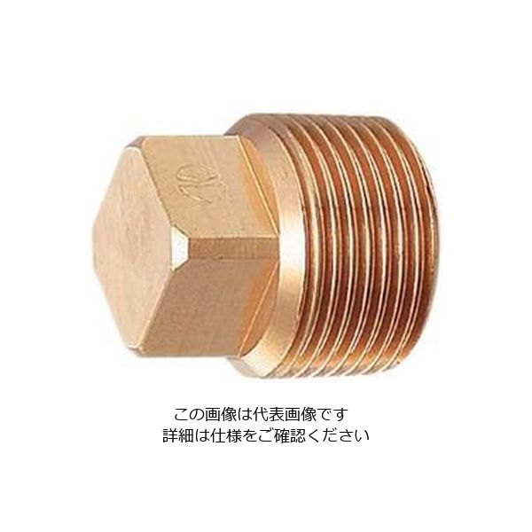 カクダイ 砲金プラグ 6168ー10 1個（直送品） - アスクル