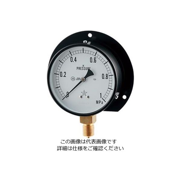 カクダイ 蒸気用圧力計(一般用・Bタイプ) 649ー874ー04B 649-874-04B 1個（直送品）