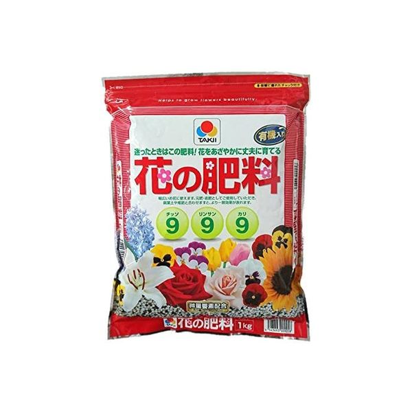 房咲芳香水仙 ペーパーホワイト 3.5寸ポット | 鉢花・花苗