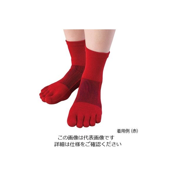 中部物産貿易 3Dエアメッシュソックス(5本指ソックス) ミドル丈 橙 AM-15 1足 4-1418-05（直送品）