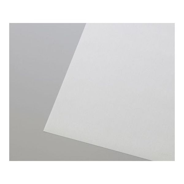 不燃透明ターポリン プライキャンバス 不燃半透明タイプ 2030mm×0.27mm×30m G-1025BT-30m 1巻（直送品）