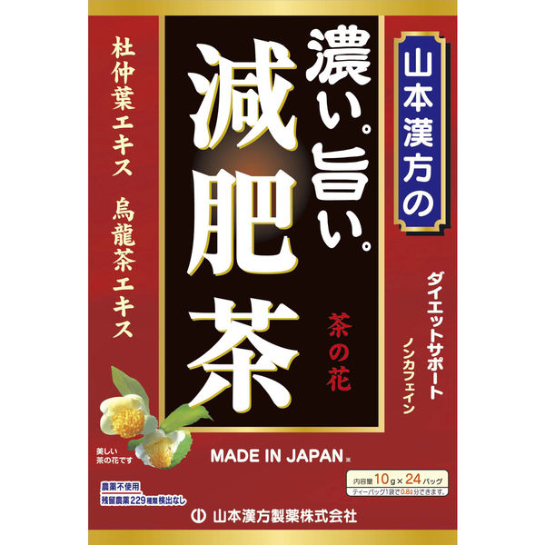 山本漢方製薬 濃い旨い減肥茶 1セット（10g×24包×2箱） 健康茶