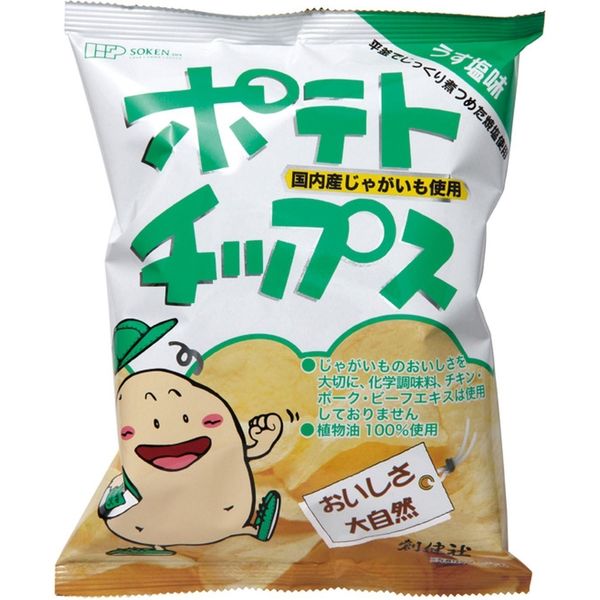 創健社 ポテトチップス　うす塩味 60g 160452　1セット（60g×20）（直送品）