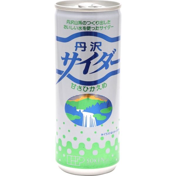 創健社 丹沢サイダー 250ml 90303 1セット（250ml×30）（直送品） - アスクル